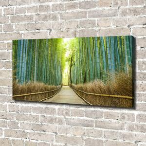 Foto obraz na plátně Bambusový les oc-72519653
