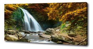 Foto obraz na plátně Vodopád v lese oc-72571423
