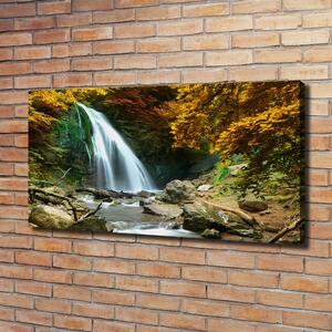 Foto obraz na plátně Vodopád v lese oc-72571423