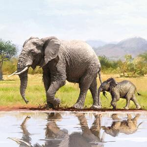 Ubrousky Elephant 3400107