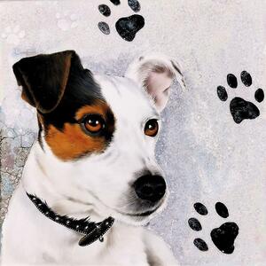 Ubrousky Jack Russell 3400101