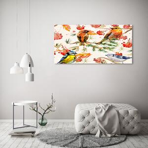 Moderní obraz canvas na rámu jehličňany a ptáci oc-73252518