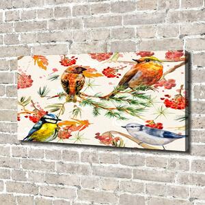 Moderní obraz canvas na rámu jehličňany a ptáci oc-73252518