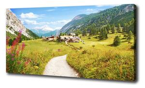 Foto obraz na plátně Pastvina v Alpách oc-73408586