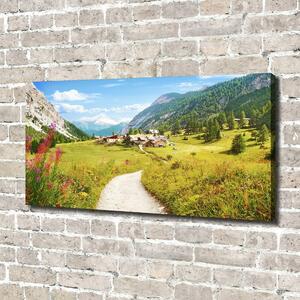 Foto obraz na plátně Pastvina v Alpách oc-73408586
