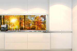DIMEX | Fototapeta do kuchyně Barevný podzimní les KI-180-188 | 180 x 60 cm | hnědá, žlutá, oranžová