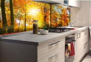 DIMEX | Fototapeta do kuchyně Barevný podzimní les KI-180-188 | 180 x 60 cm | hnědá, žlutá, oranžová