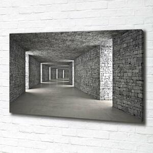 Foto obraz na plátně Tunel z cihel oc-73658635