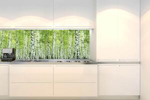 DIMEX | Fototapeta do kuchyně Jarní březový háj KI-180-193 | 180 x 60 cm | zelená, černá, bílá