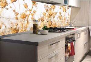 DIMEX | Fototapeta do kuchyně Suché bodláčí KI-180-180 | 180 x 60 cm | béžová, šedá