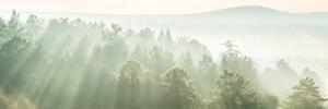 DIMEX | Fototapeta do kuchyně Sluneční paprsky nad lesem KI-180-196 | 180 x 60 cm | zelená, bílá, krémová
