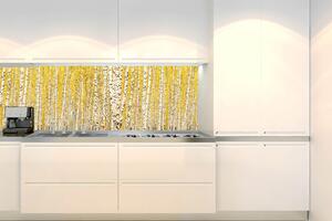 DIMEX | Fototapeta do kuchyně Žlutý březový háj KI-180-197 | 180 x 60 cm | žlutá, černá, bílá