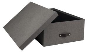 Úložné boxy s víkem v sadě 3 ks Inge – Bigso Box of Sweden