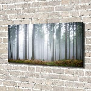 Foto obraz na plátně Mlha v lese oc-74026356