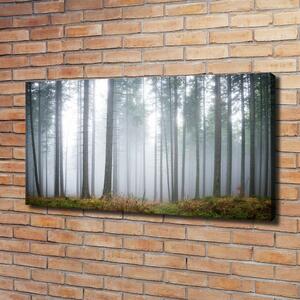 Foto obraz na plátně Mlha v lese oc-74026356