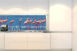 DIMEX | Fototapeta do kuchyně Plameňáci KI-180-307 | 180 x 60 cm | modrá, růžová