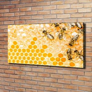 Foto obraz na plátně Pracující včely oc-74378590