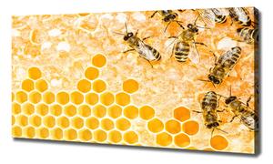 Foto obraz na plátně Pracující včely oc-74378590