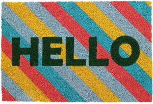 Kokosová rohožka Hello colour, 39 x 59 cm