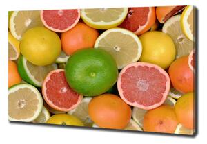 Foto obraz na plátně Citrusové ovoce oc-75213206