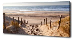 Foto obraz na plátně Mořské duny oc-75901490