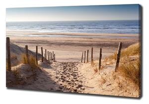 Foto obraz na plátně Mořské duny oc-75901490