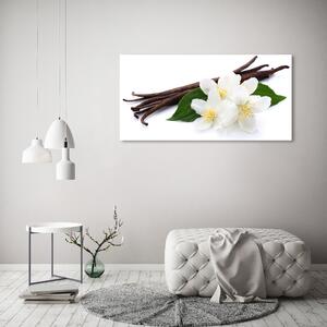 Moderní fotoobraz canvas na rámu Jasmín a vanilka oc-75941522