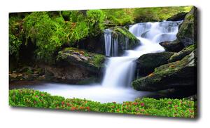 Foto obraz na plátně Vodopád v lese oc-76241598