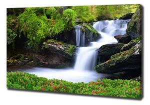 Foto obraz na plátně Vodopád v lese oc-76241598