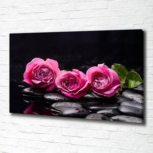 Foto obraz na plátně do obýváku Růžové růže oc-77048055
