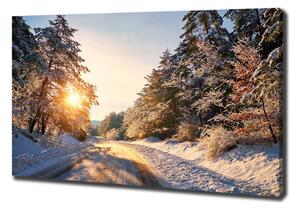 Foto obraz na plátně Cesta v lese zima oc-77332313