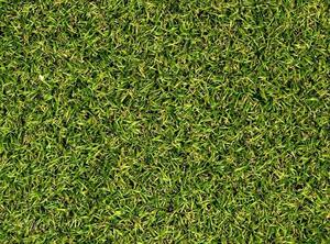 Umělý travní koberec Lora - PB 4 m