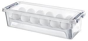 Orion Box na vajíčka, obal na 12ks vajec, FRESH, 3,5l