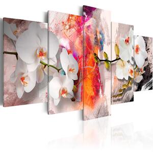 Obraz - Colorful background and orchids
