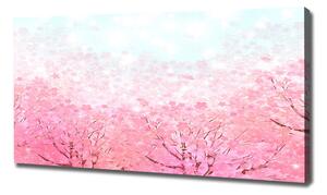 Foto obraz na plátně Květy višně oc-78464796