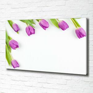 Moderní fotoobraz canvas na rámu Fialové tulipány oc-78573099