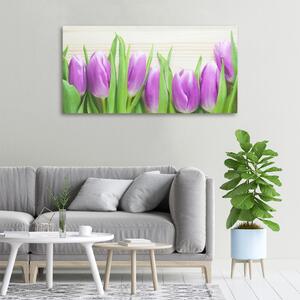 Foto obraz na plátně Fialové tulipány oc-78755149