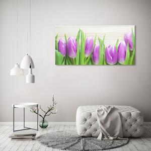 Foto obraz na plátně Fialové tulipány oc-78755149