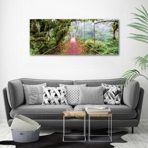Foto obraz na plátně Most v pralese oc-79141355