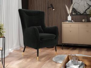 Čalouněné křeslo Arisean, Potah: Magic Velvet 2219 5903211173431
