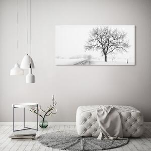 Foto obraz na plátně Strom zima oc-80032038