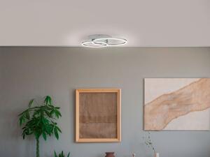 LIVARNO home Stropní / Nástěnné LED svítidlo (kulatá) (100368579002)