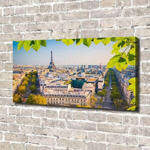 Foto obraz canvas Paříž oc-80291148