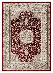 Angel Carpet, Kusový koberec Sultan 12 Red, 120x170, červená, kancelář