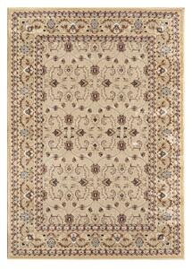 Angel Carpet, Kusový koberec Sultan 26 Beige, 60x110, béžová, kancelář