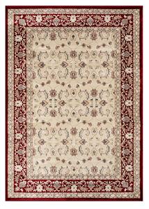 Angel Carpet, Kusový koberec Sultan 21 Red, 60x110, červená, kancelář