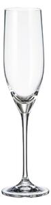 Crystalite Bohemia sklenice na šampaňské Sitta 240 ml 6KS