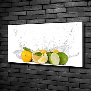 Foto obraz canvas Citrusy a voda oc-81760914