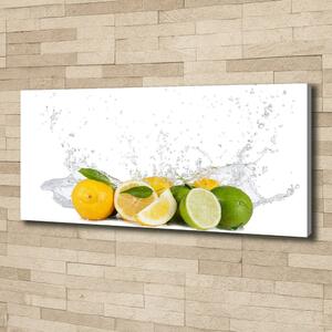 Foto obraz canvas Citrusy a voda oc-81760914