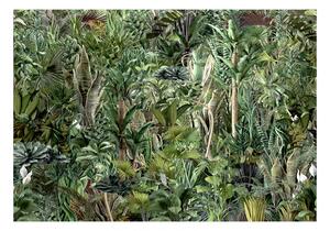 Fototapeta - Bohatství džungle + zdarma lepidlo - 200x140